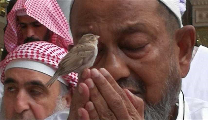 من هو صاحب هذه الصورة التي أشعلت مواقع التواصل؟