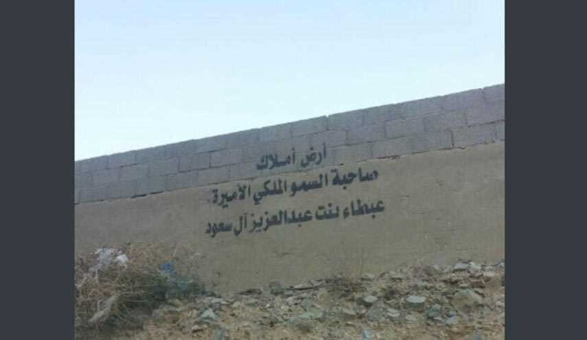 بالصور..حجم الثروة الهائلة لآل سعود يكشفها ناشطون ومجتهد..