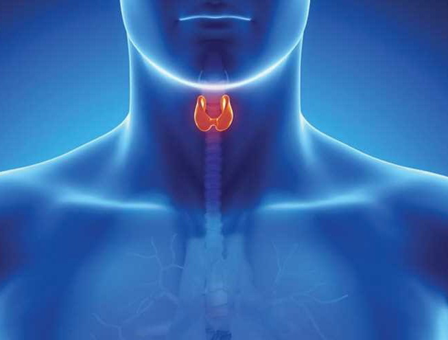 هذه الأعراض تؤكد الإصابة بمشكلات في الغدة الدرقية