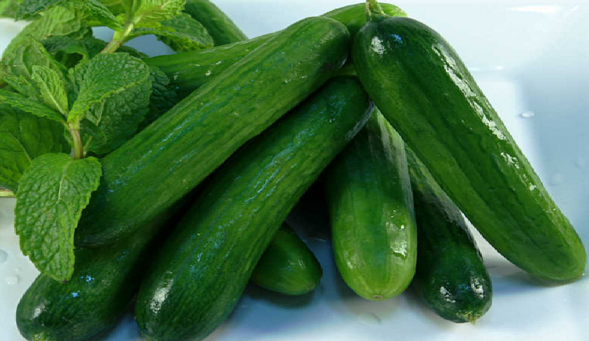 لتجنب تعفن الخيار في الثلاجة... إليكم هذه الحيلة!