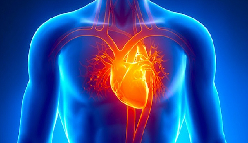 لتحسين صحة القلب وتنشيطه... سارعوا بالقيام بهذا الامر!