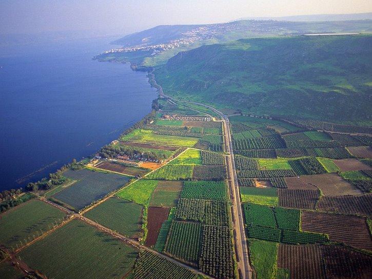 الثروات الطبيعية في فلسطين المحتلة