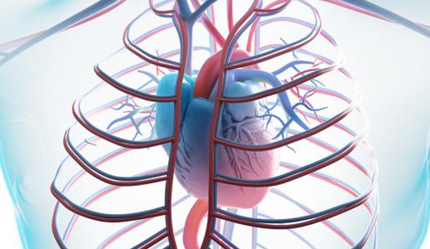 هذه الأطعمة تسبب أمراض القلب.. احذروا