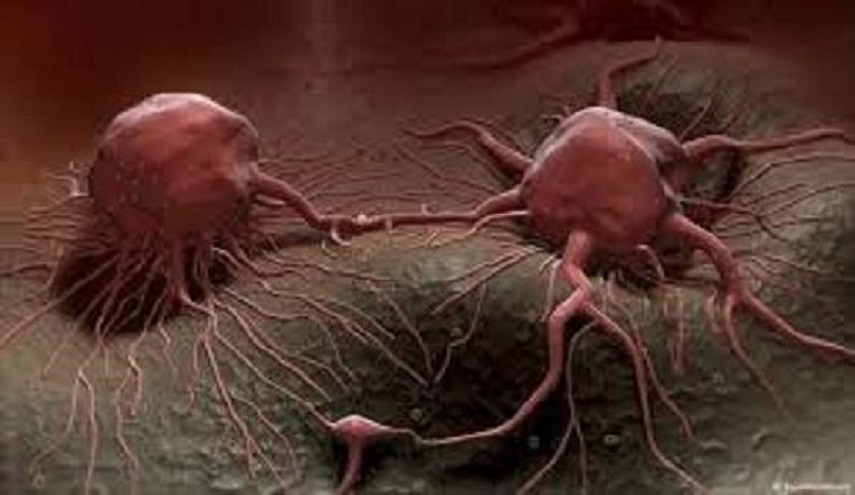  طريقة متوفرة في كل بيت لمكافحة السرطان! 