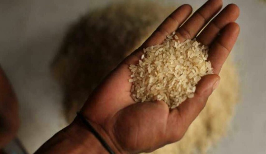 خبراء يحذرون من أخطاء خطيرة في طهي الأرز وحفظه  