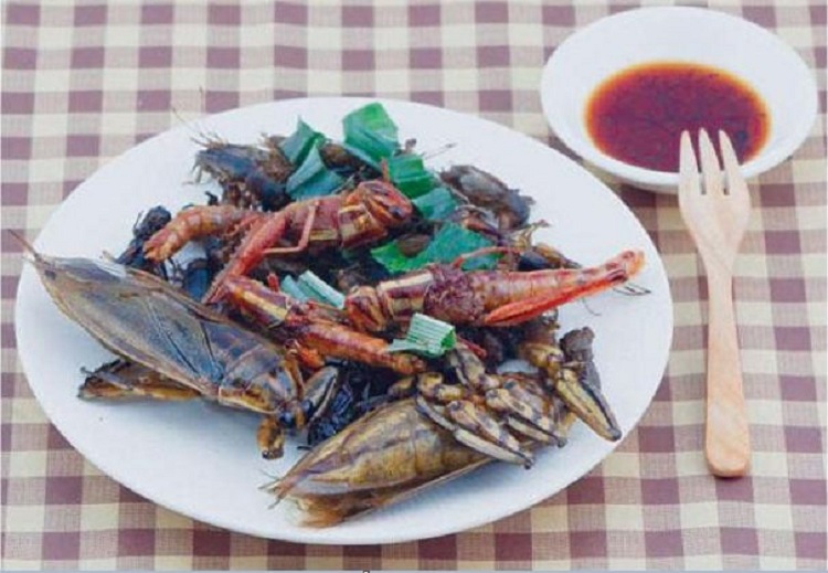 دراسة علمية: الصراصير مفيدة للصحة وطعمها لذيذ