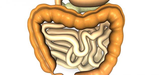 أغذية منزلية تنظف القولون وتبعده من الأمراض الخطيرة
