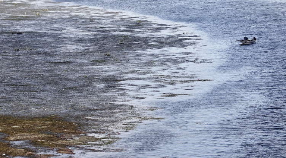 ظهور "جزر نيلية" في مصر.. والسبب؟