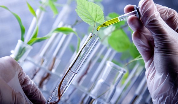 إيران.. إطلاق أول مسرع في مجال الأعشاب الطبية