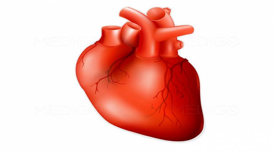 تعرّفوا على طريقة فحص القلب في المنزل