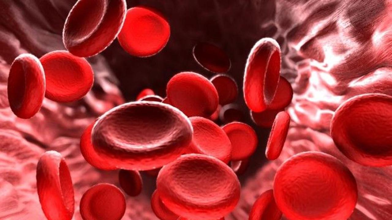 فصيلة دم لايمتلكها سوى 43 شخصاً بالعالم 