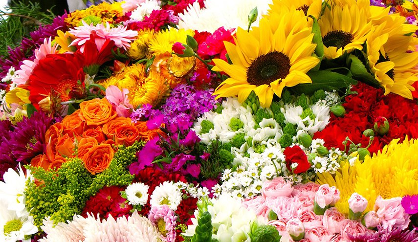 دراسة جديدة: رائحة الورد يؤثر على قدرة التعلم!