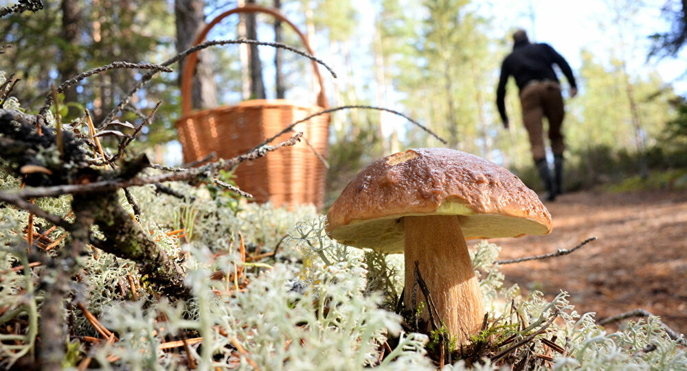 مركز "فيكتور" الروسي يجد طريقة جديدة لمكافحة كورونا