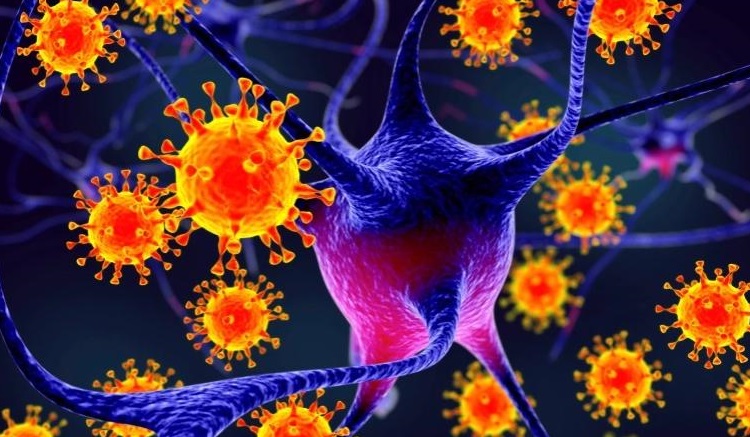 لماذا فيروس 