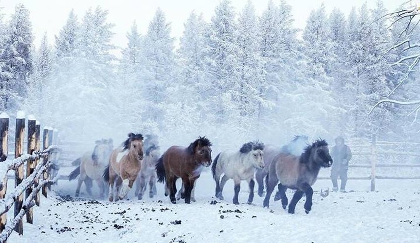 تعرف على أبرد منطقة سكنية في العالم!