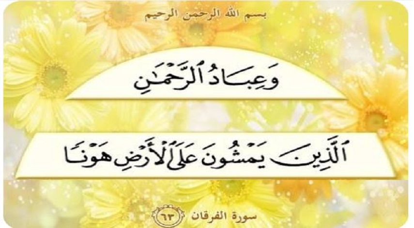 وَعِبَادُ الرَّحْمَنِ الَّذِينَ يَمْشُونَ عَلَى الْأَرْضِ هَوْنًا وَإِذَا خَاطَبَهُمُ الْجَاهِلُونَ قَالُوا سَلَامًا.... (سورة الفرقان المباركة: آية 63)