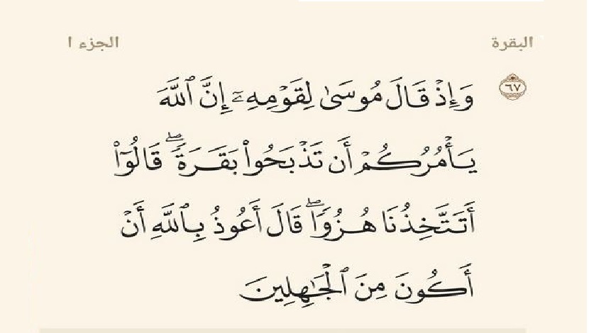 {وَإِذْ قَالَ  مُوسَى لِقَوْمِهِ إِنَّ اللَّهَ يَأْمُرُكُمْ أَنْ تَذْبَحُوا بَقَرَةً قَالُوا   أَتَتَّخِذُنَا هُزُوًا قَالَ أَعُوذُ بِاللَّهِ أَنْ أَكُونَ مِنَ الْجَاهِلِينَ}.. سورة البقرة : آية 67