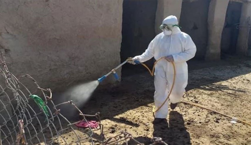  حصيلة جديدة لضحايا الحمى النزفية في العراق