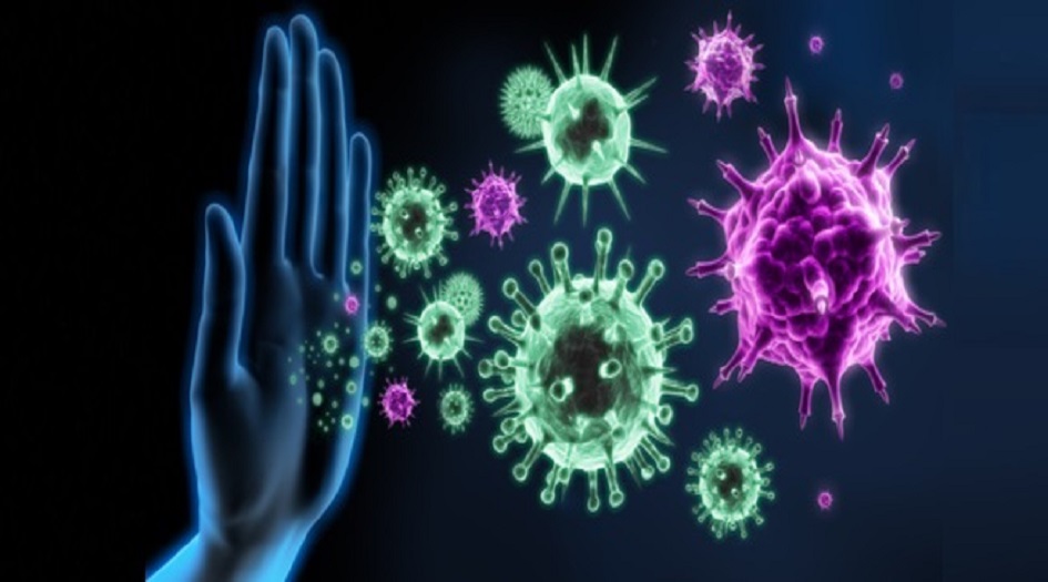 معلومات تكشف عن كيفية عمل الجهاز المناعي