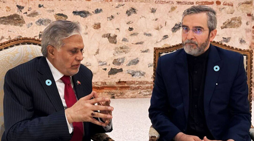  باقري ووزير خارجية باكستان يتباحثان التعاون الثنائي وتطورات المنطقة 
